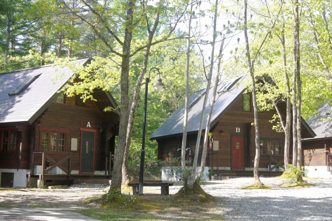 Hakuba Brownie Cottages Экстерьер фото